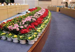 室内花卉租赁养护的十大原则