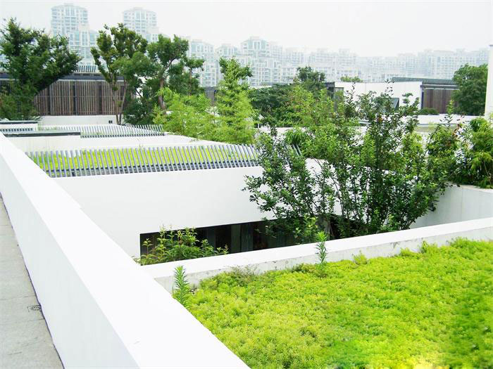 水清木华屋顶绿化